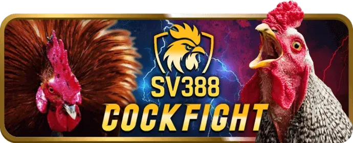 Bắn cá đơn lẻ và đàn